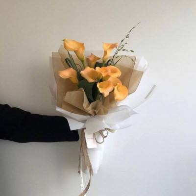 博鱼·体育下载入口