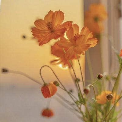 澳门银银河官方网welcomeapp下载