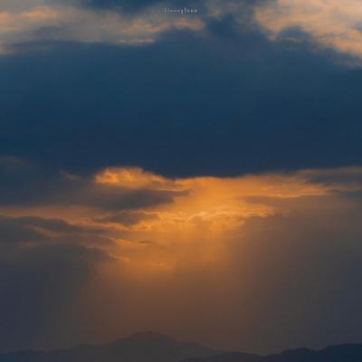 经典牛牛下载手机版